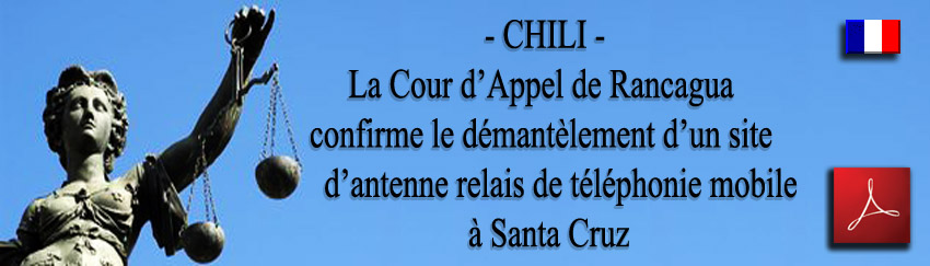Chili_Jugement_Cour_Appel_Antennes_Relais_Entel_04_12_2009